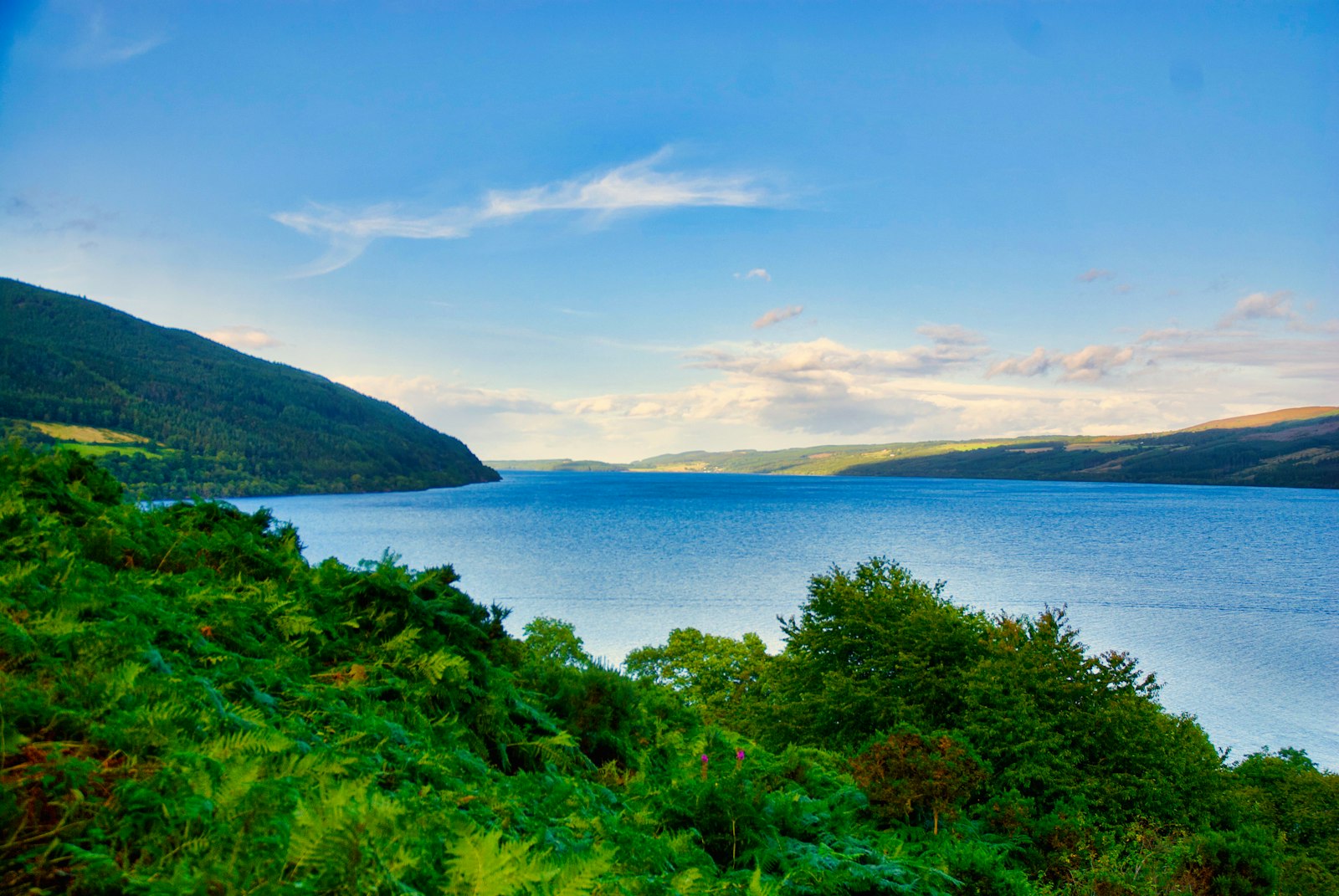Loch Ness seen from a forest trail high on the Great Glen Way